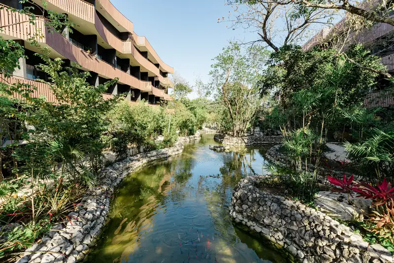 Water garden with koi between the buildings
